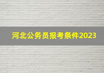 河北公务员报考条件2023