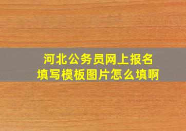 河北公务员网上报名填写模板图片怎么填啊