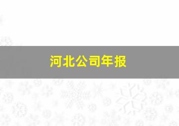 河北公司年报