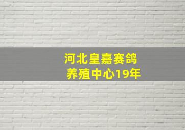 河北皇嘉赛鸽养殖中心19年