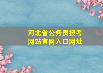 河北省公务员报考网站官网入口网址