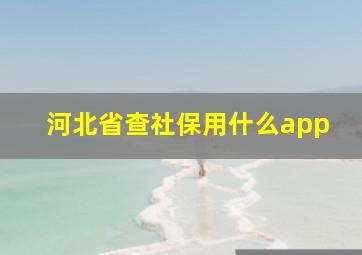 河北省查社保用什么app