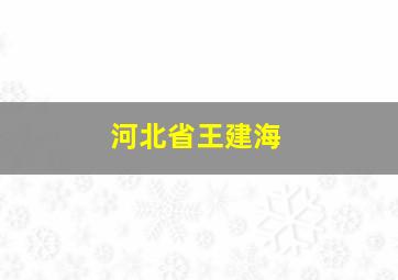 河北省王建海