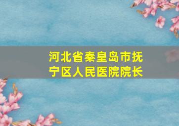 河北省秦皇岛市抚宁区人民医院院长