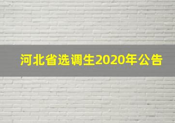 河北省选调生2020年公告