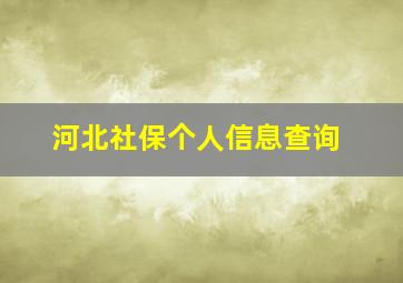 河北社保个人信息查询