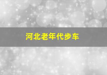 河北老年代步车