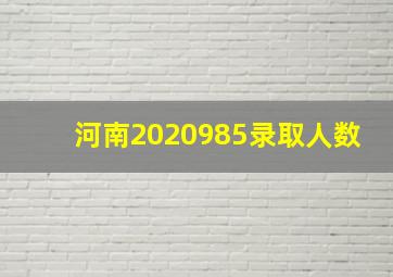 河南2020985录取人数