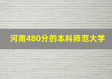 河南480分的本科师范大学