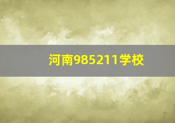 河南985211学校