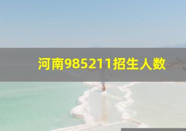 河南985211招生人数