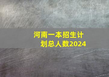 河南一本招生计划总人数2024