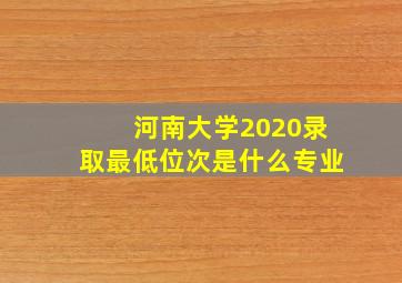 河南大学2020录取最低位次是什么专业