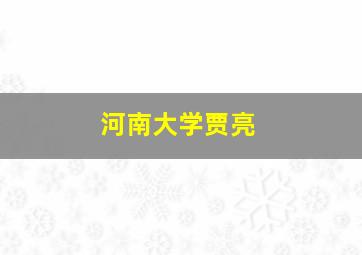 河南大学贾亮