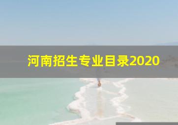 河南招生专业目录2020