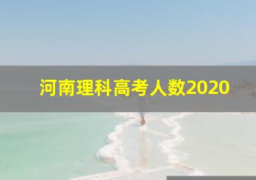 河南理科高考人数2020