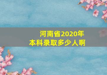 河南省2020年本科录取多少人啊