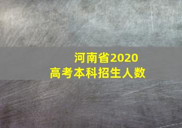 河南省2020高考本科招生人数