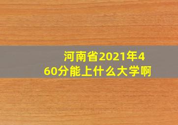 河南省2021年460分能上什么大学啊