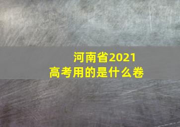 河南省2021高考用的是什么卷