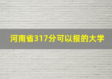 河南省317分可以报的大学