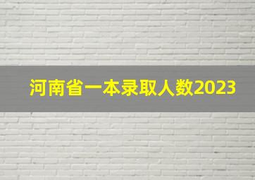 河南省一本录取人数2023