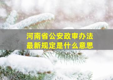 河南省公安政审办法最新规定是什么意思