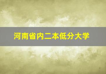 河南省内二本低分大学