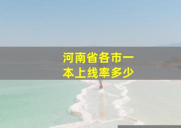 河南省各市一本上线率多少