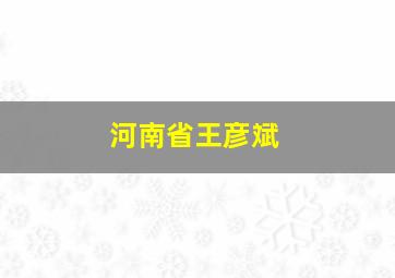 河南省王彦斌