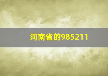 河南省的985211