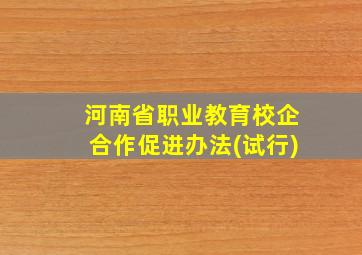 河南省职业教育校企合作促进办法(试行)