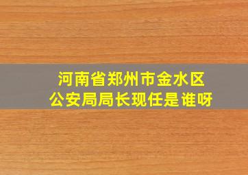 河南省郑州市金水区公安局局长现任是谁呀