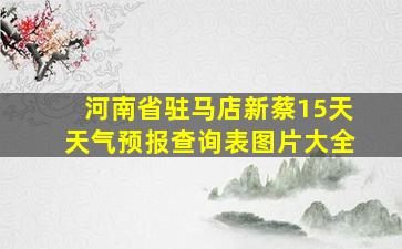 河南省驻马店新蔡15天天气预报查询表图片大全