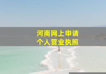 河南网上申请个人营业执照