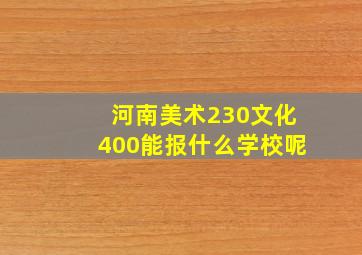 河南美术230文化400能报什么学校呢