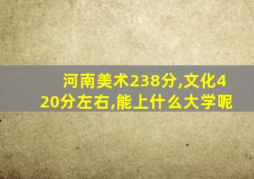 河南美术238分,文化420分左右,能上什么大学呢