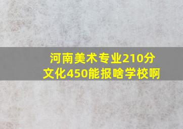 河南美术专业210分文化450能报啥学校啊