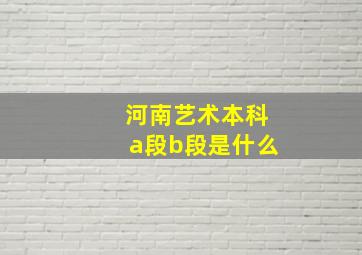 河南艺术本科a段b段是什么