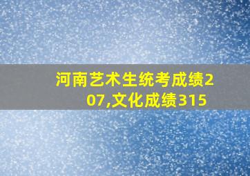 河南艺术生统考成绩207,文化成绩315