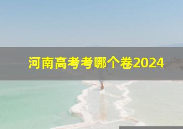 河南高考考哪个卷2024