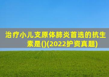 治疗小儿支原体肺炎首选的抗生素是()(2022护资真题)