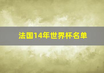 法国14年世界杯名单