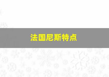 法国尼斯特点