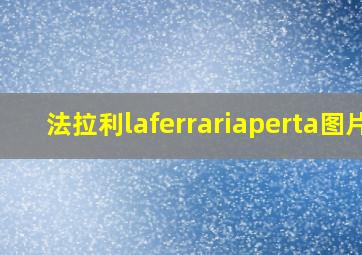 法拉利laferrariaperta图片