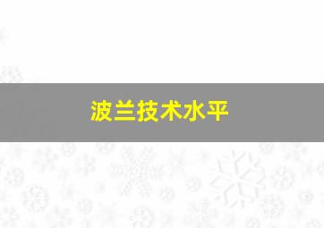 波兰技术水平