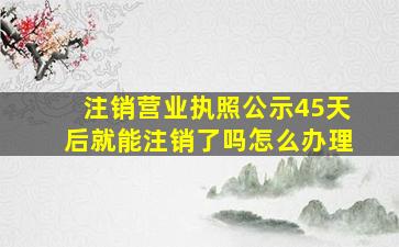 注销营业执照公示45天后就能注销了吗怎么办理