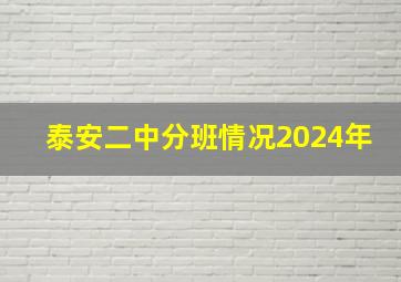 泰安二中分班情况2024年