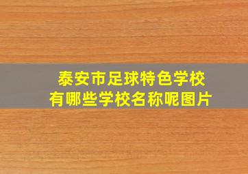 泰安市足球特色学校有哪些学校名称呢图片