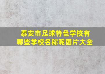 泰安市足球特色学校有哪些学校名称呢图片大全